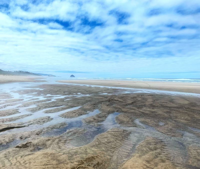 The Beach at the End of the Trail