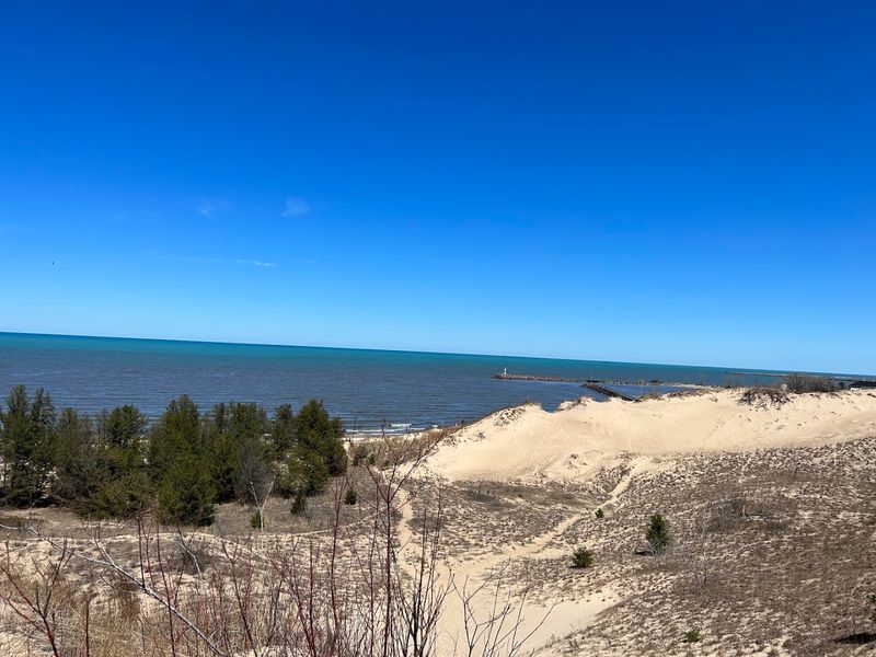 Birdwatching Along the Dune Succession Trails