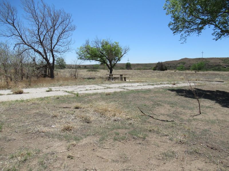 Wildlife That Moved In Instead