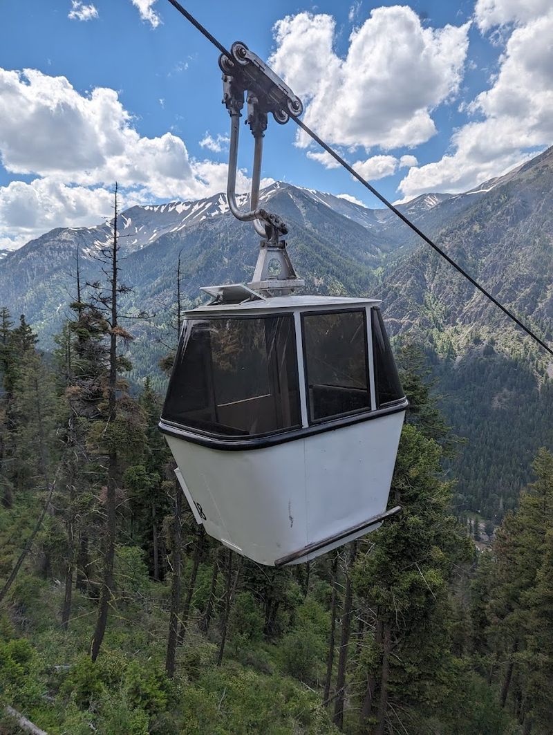 What the Gondola Ticket Actually Gets You