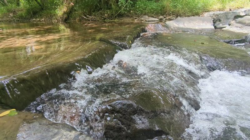 Nelson County's Blue Ridge Parkway Stretch: America's Most Beautiful Road