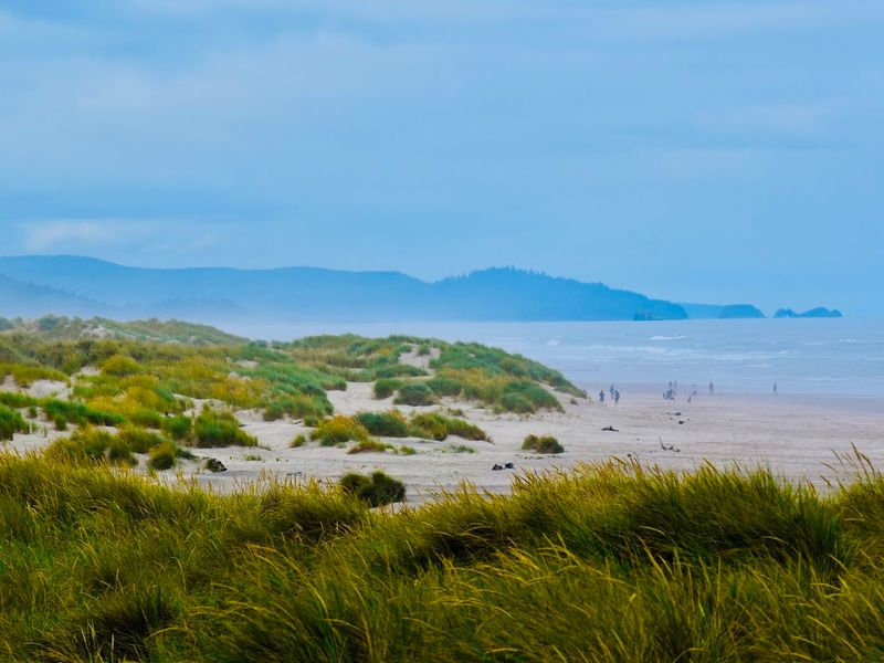 Nehalem Bay State Park: Where the Estuary Meets the Sea