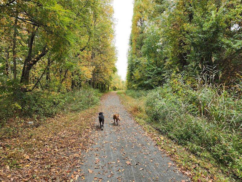 The Delaware and Raritan Canal State Park Towpath