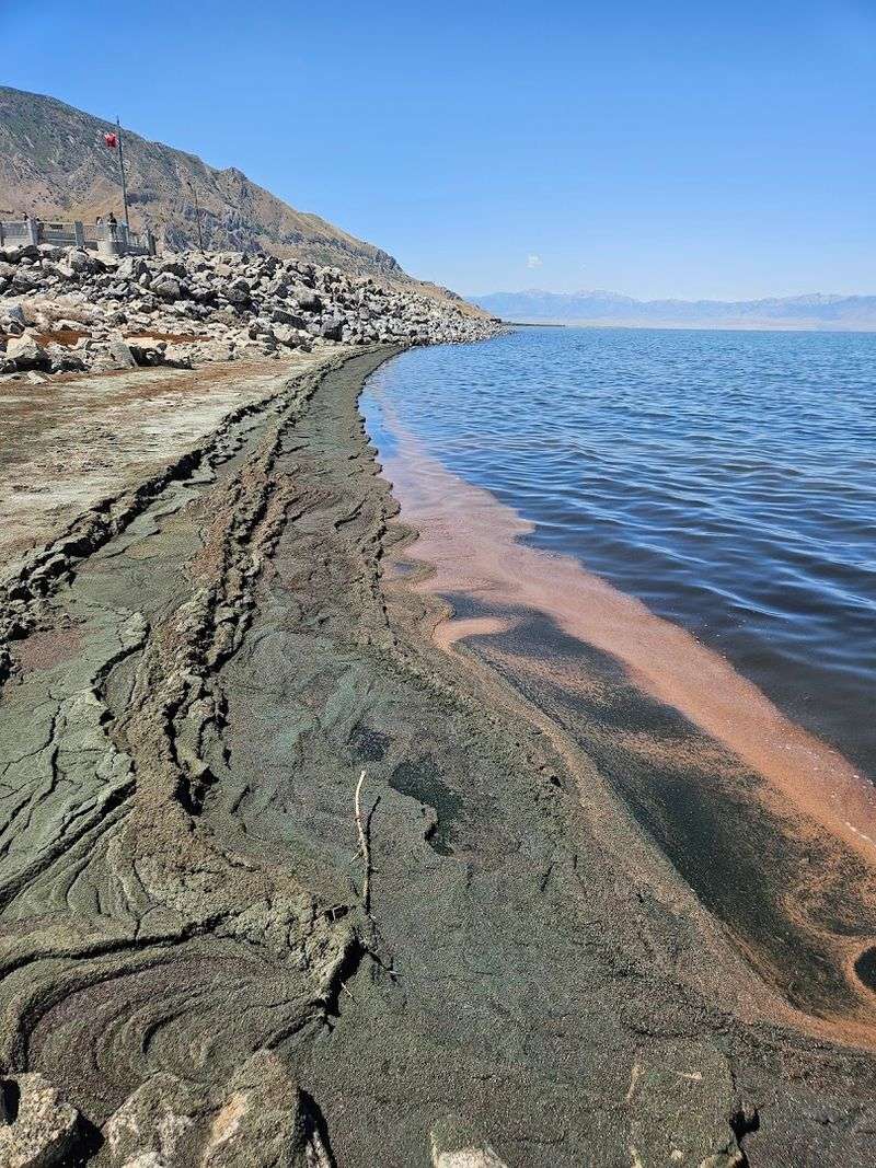 Exposed Shoreline Shows How Much Shifted