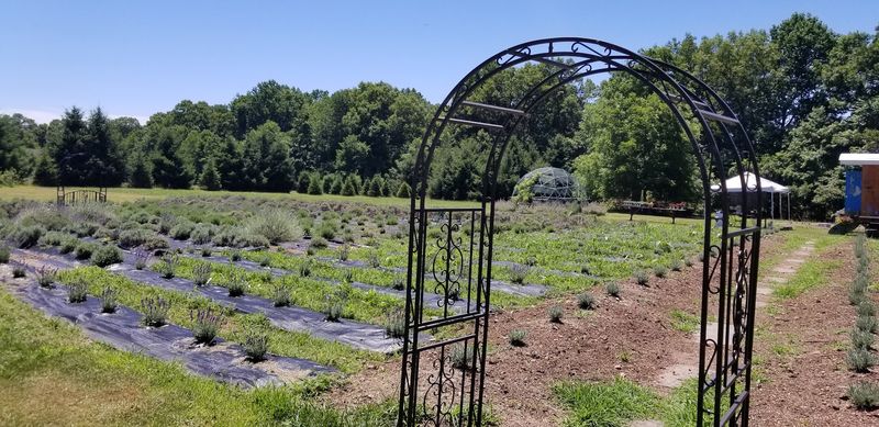 Planning Your Visit: What to Know Before You Go