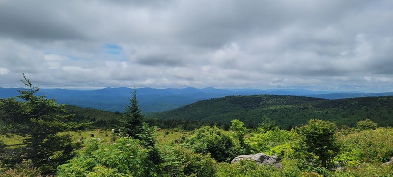 High-Country Meadows: Virginia's Sky-High Open Spaces