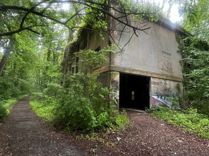 Park Paths That Feel Far Removed From The Old Crowds