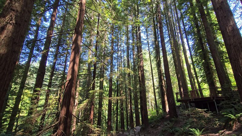 Seasonal Highlights: What the Trail Looks Like Year-Round