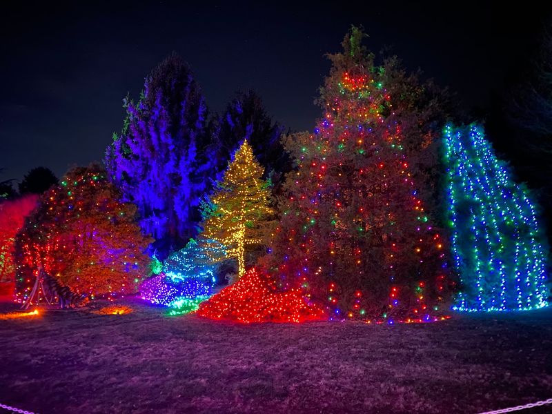The Winter Walk of Lights: A Holiday Tradition That Hits Different