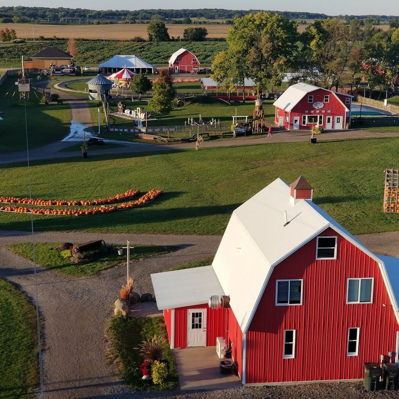 Bloom Season Gives The Farm A Different Identity