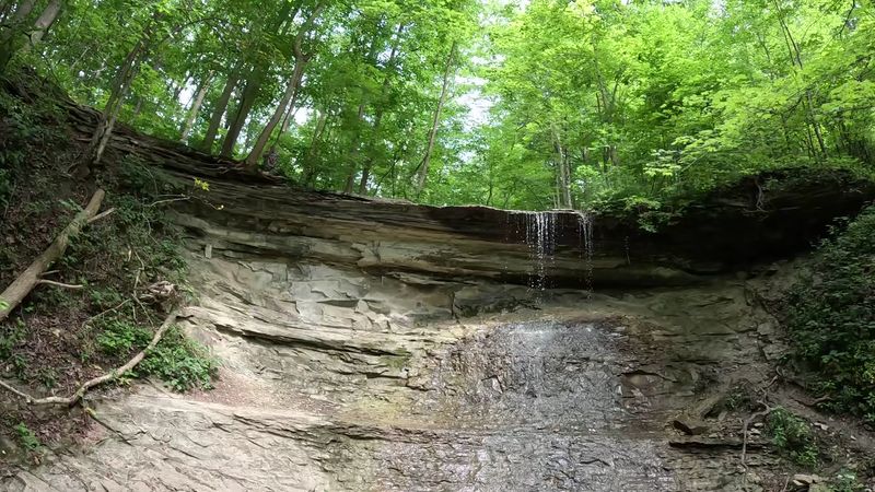 Free Access and a Peaceful Atmosphere Year-Round