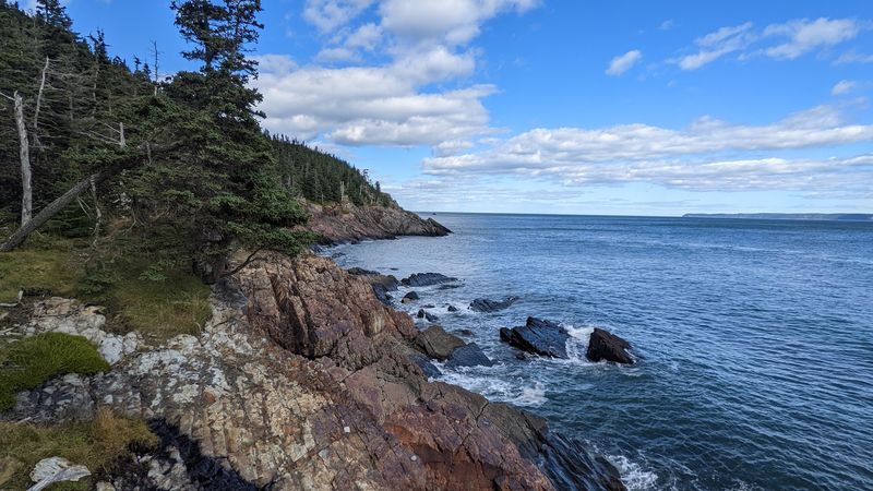 Quoddy Head State Park Trails