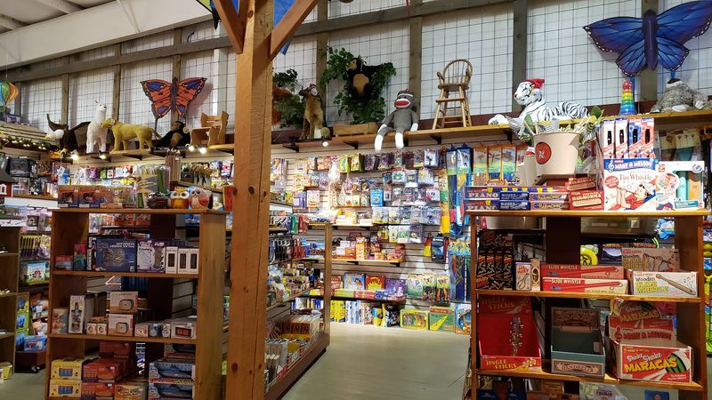 The Toy Store: Pure Childhood Magic Under One Roof
