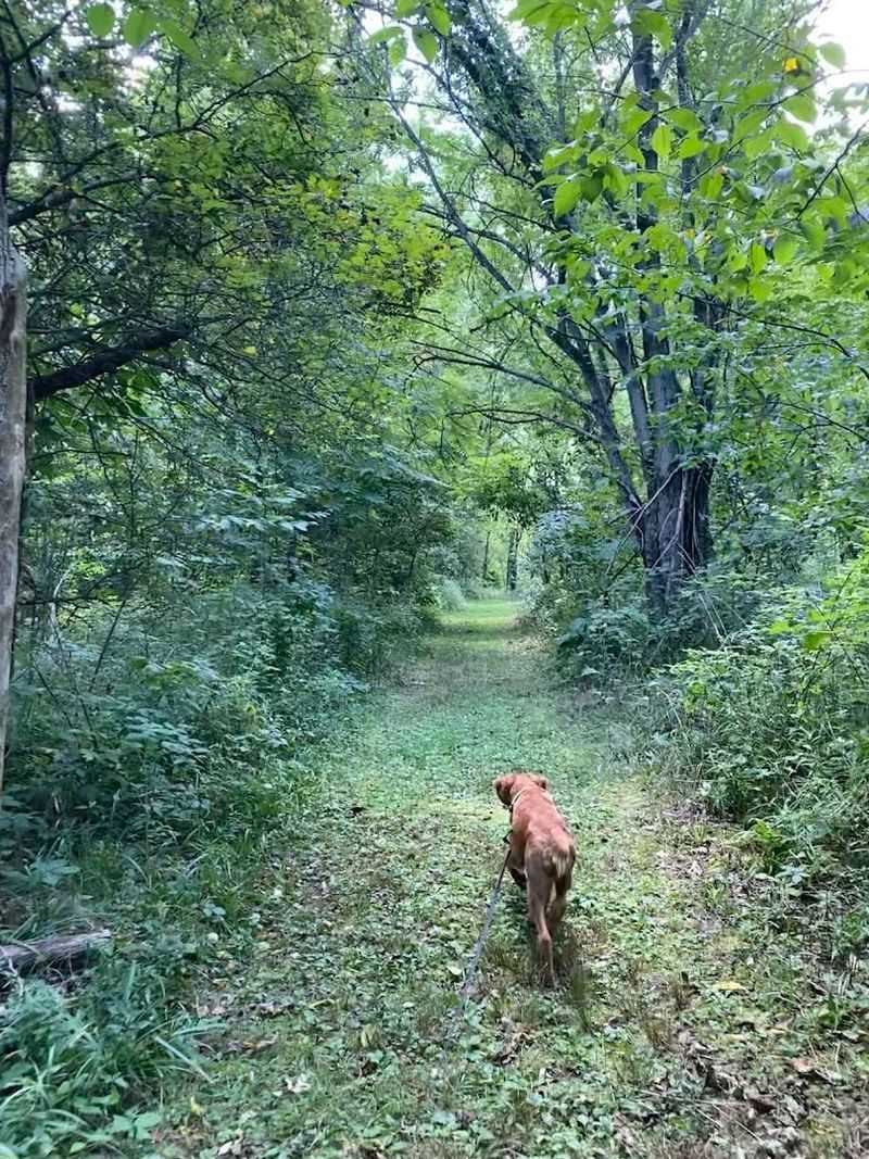 Wildlife Watching That Surprises You Around Every Bend