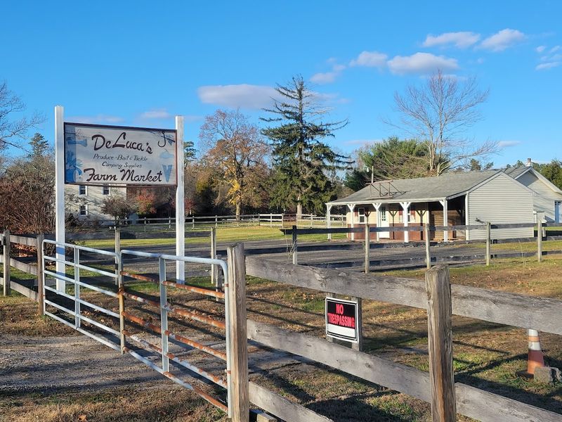Local Farm Stands: Fresh Flavors Along the Route