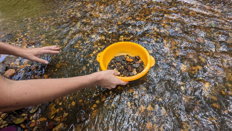 The Rules of the Hunt: What You Need to Know Before You Go