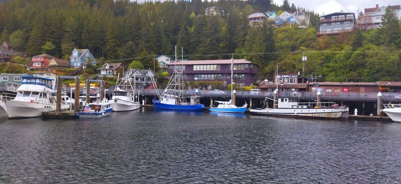 How Peat Soil Turns Into the Perfect Underground Fuel