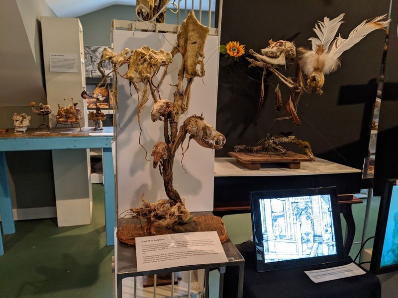 A Garage That Became Its Own Universe