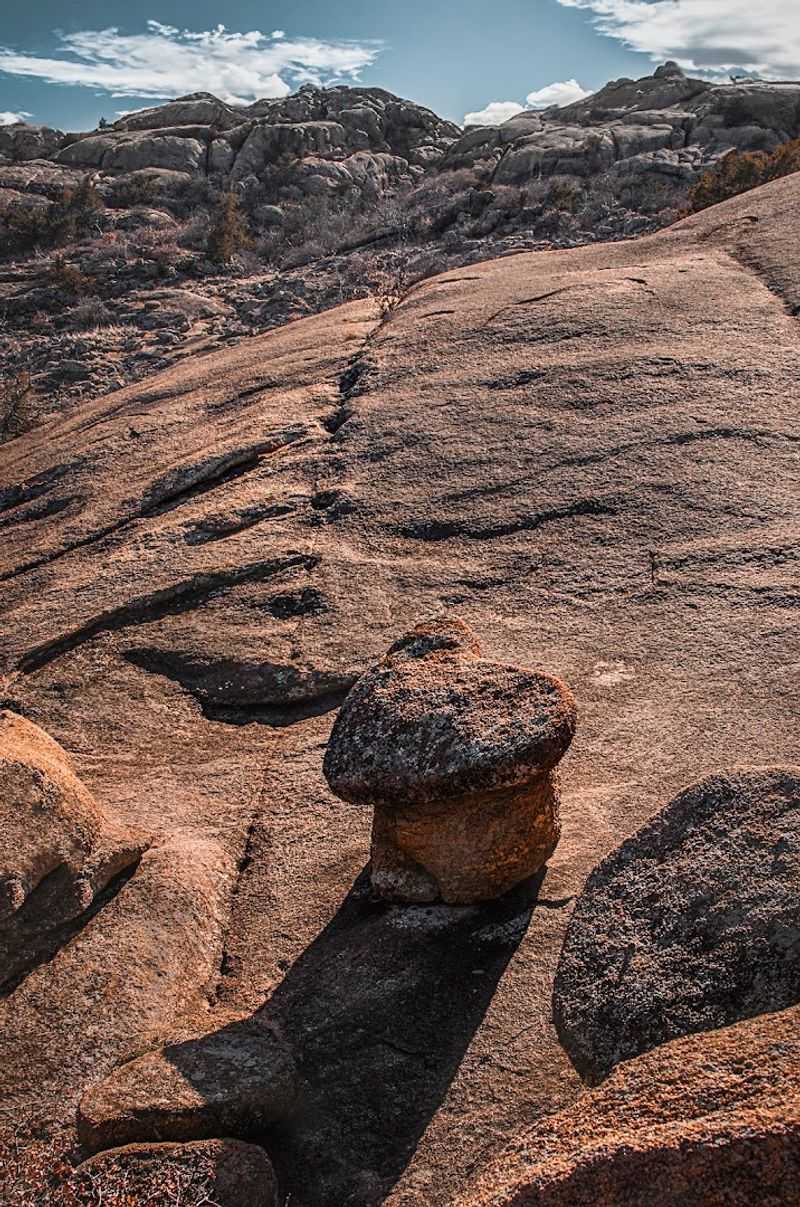 The Best Time of Year to Make the Trip