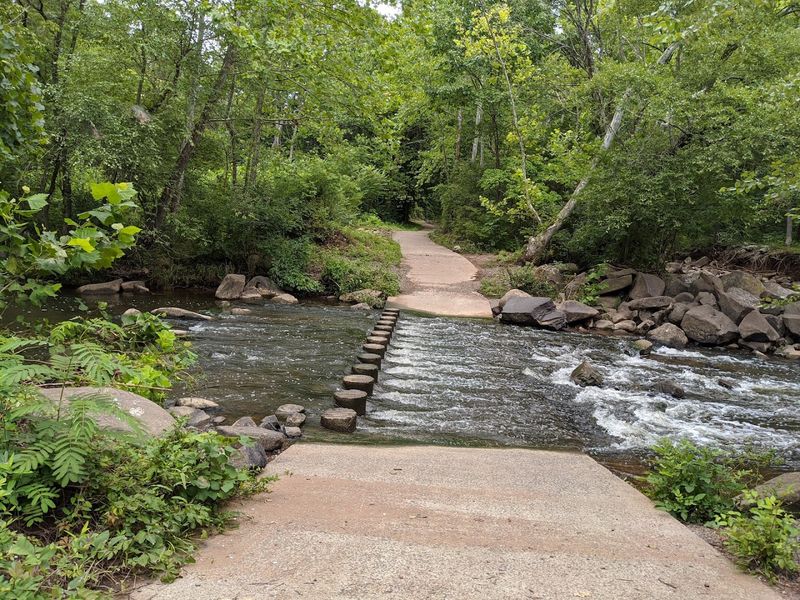 The Trail System: A Loop Worth Every Single Step