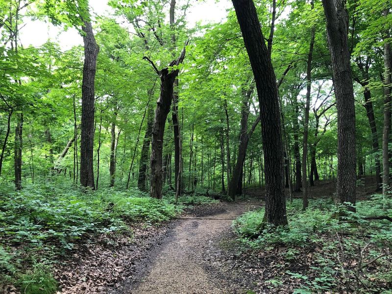 The Trail Down to the Falls
