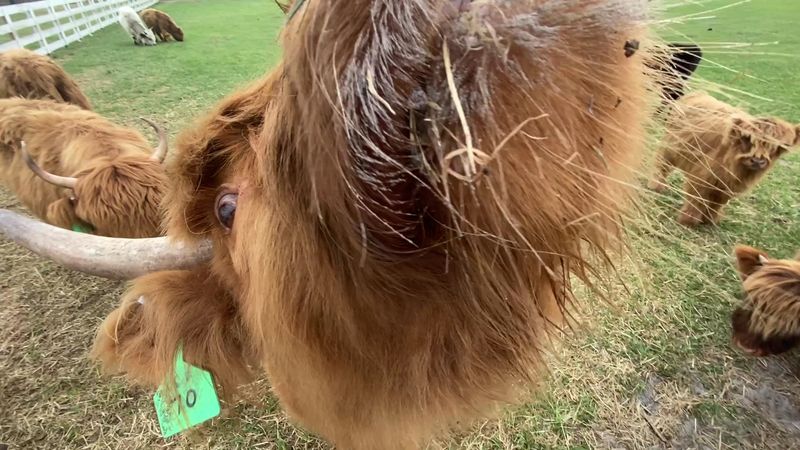 The Surprising Florida Connection