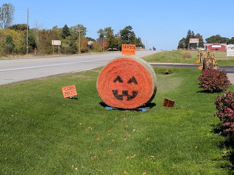 The Seasonal Rhythm That Keeps Things Changing