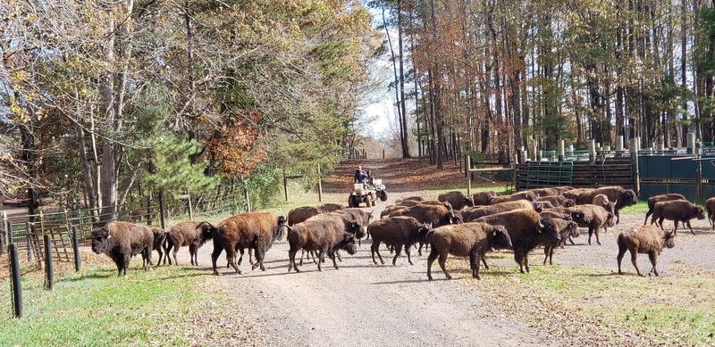 How To Plan Your Visit to 12149 Scotts Mill Rd, Culpeper, VA