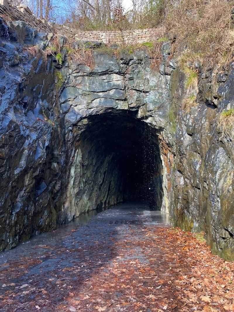 Seasonal Magic: When to Visit for the Best Experience