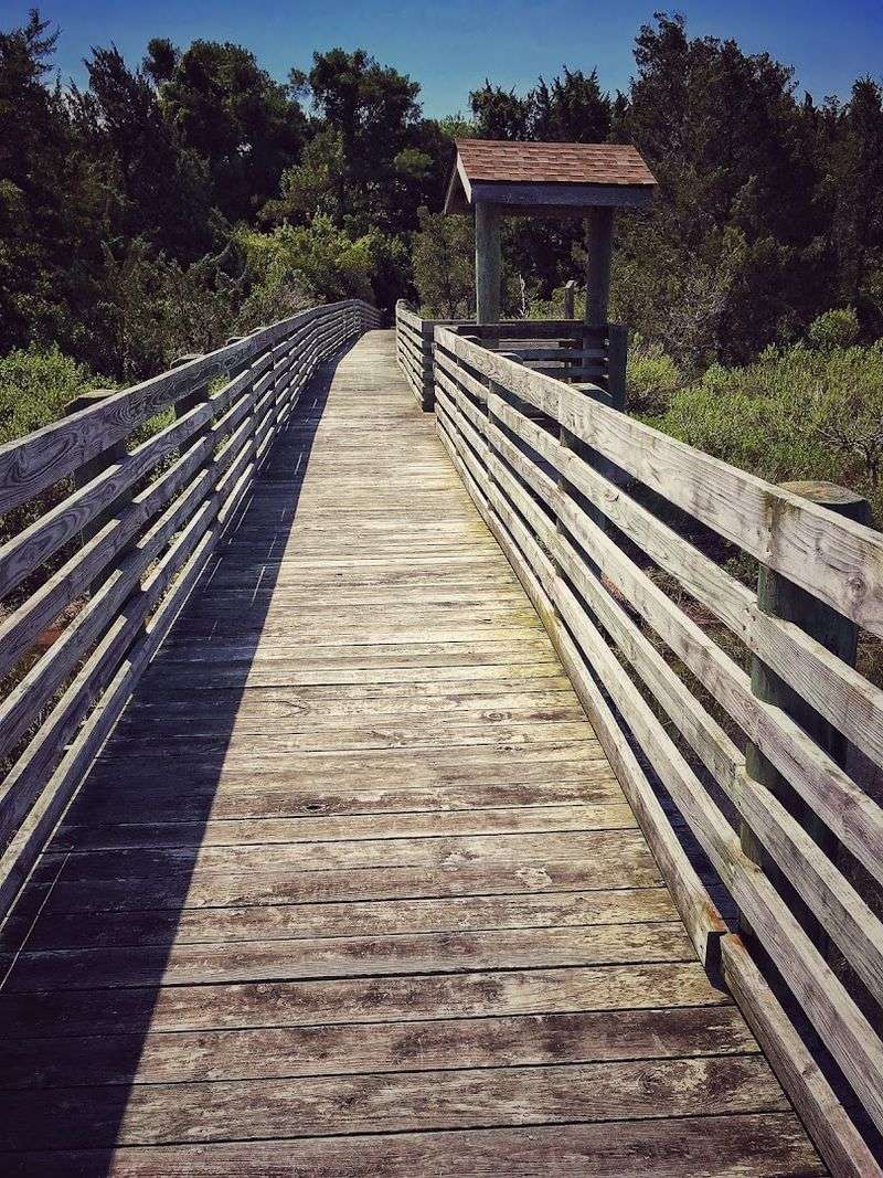 The Science Behind Barrier Island Loss