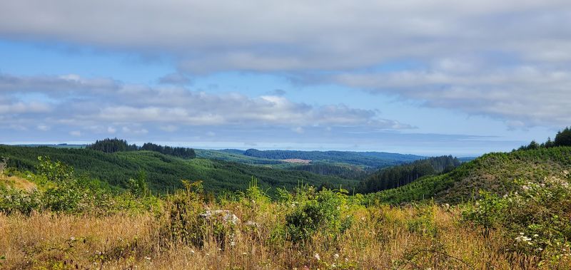 The Visitor Center Is Worth the Stop Alone