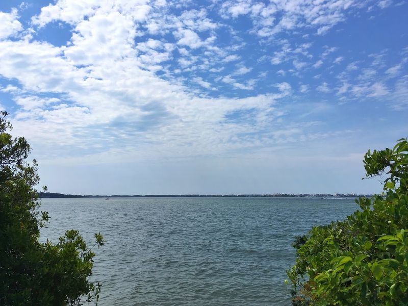 The Hurricane Shield Nobody Talks About