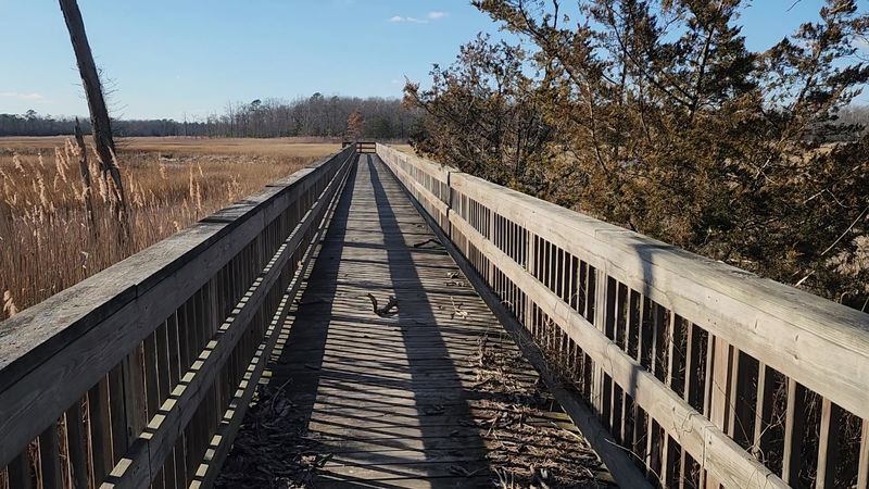 Getting There Without Getting Lost on South Jersey Back Roads