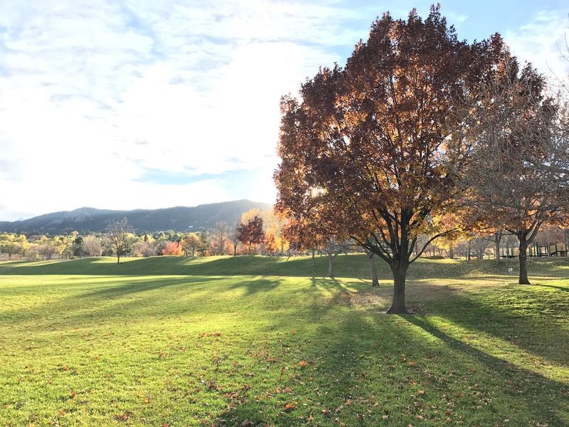 The Future of Bear Creek Lake: Cautious Hope in Cumberland County