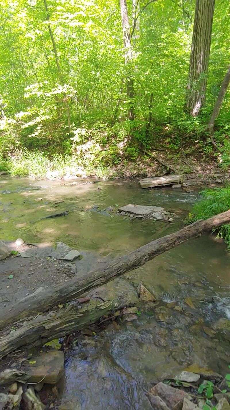 The Creek You Can Actually Wade Into
