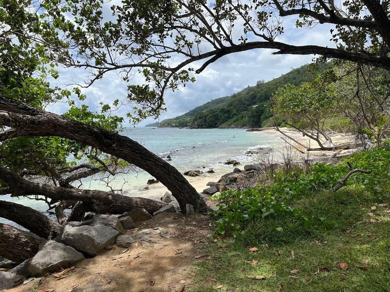 The Seasonal Calendar and Best Times to Visit