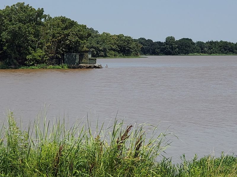 A Walk Across the Exposed Lakebed