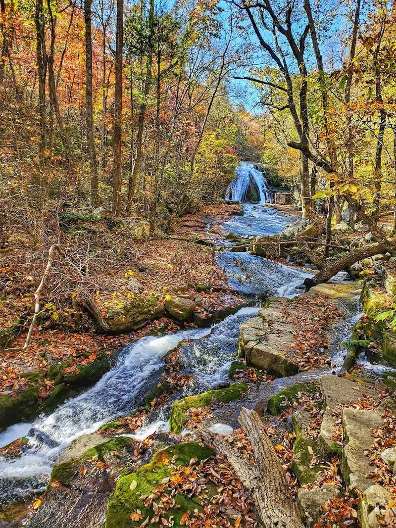 Seasonal Splendor All Year Long