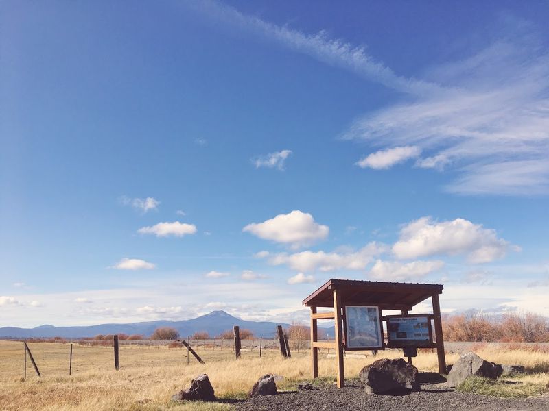 Wildlife Diversity Beyond the Birds