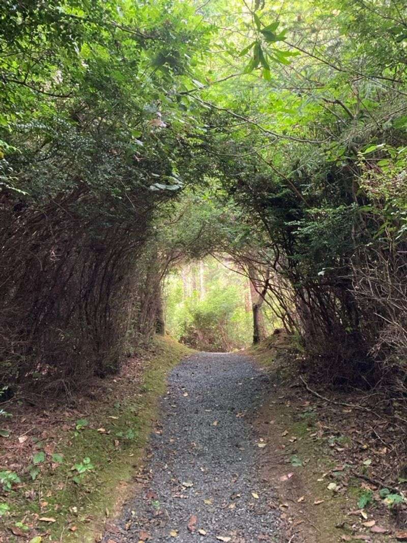 Why This Reserve Deserves More Than a Glance