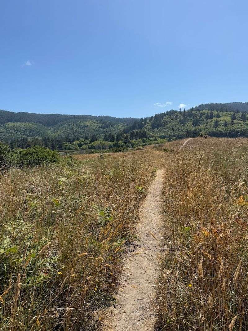 Visiting With Kids, Dogs, and Everyone Else