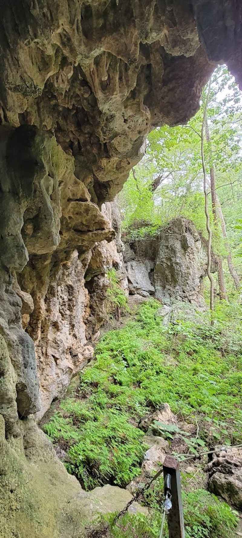 Why Westcave Deserves a Spot on Every Texas Bucket List