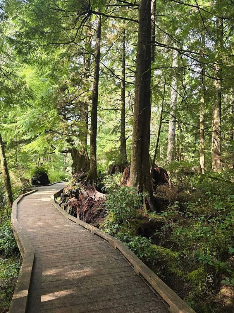 Getting There and Nearby Rockaway Beach