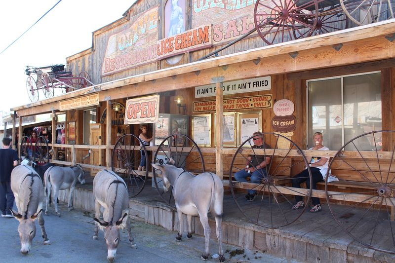 Planning Your Visit to Oatman, Arizona