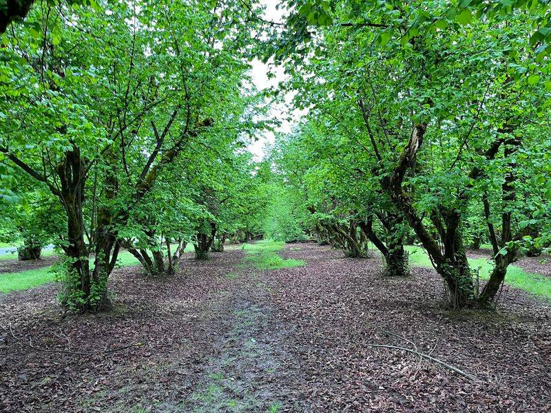 The Moments Between the Scares