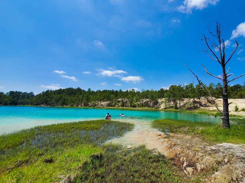 The Swimming Experience for Non-Divers