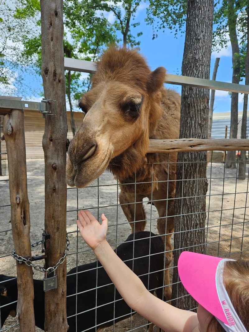 Why This Place Deserves a Spot on Every Texas Bucket List