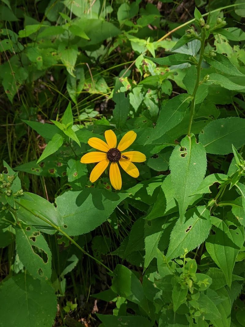Wildflowers, Seasons, and the Best Time to Visit