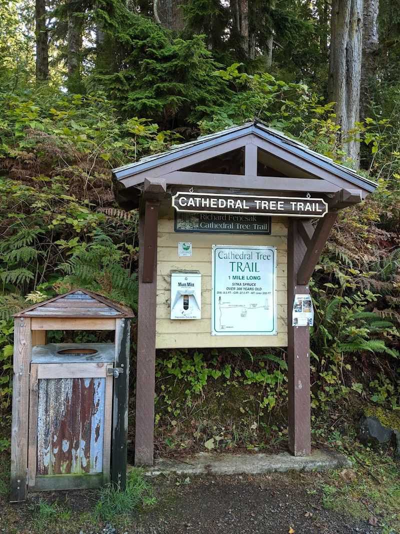 Parking and Trail Access Tips