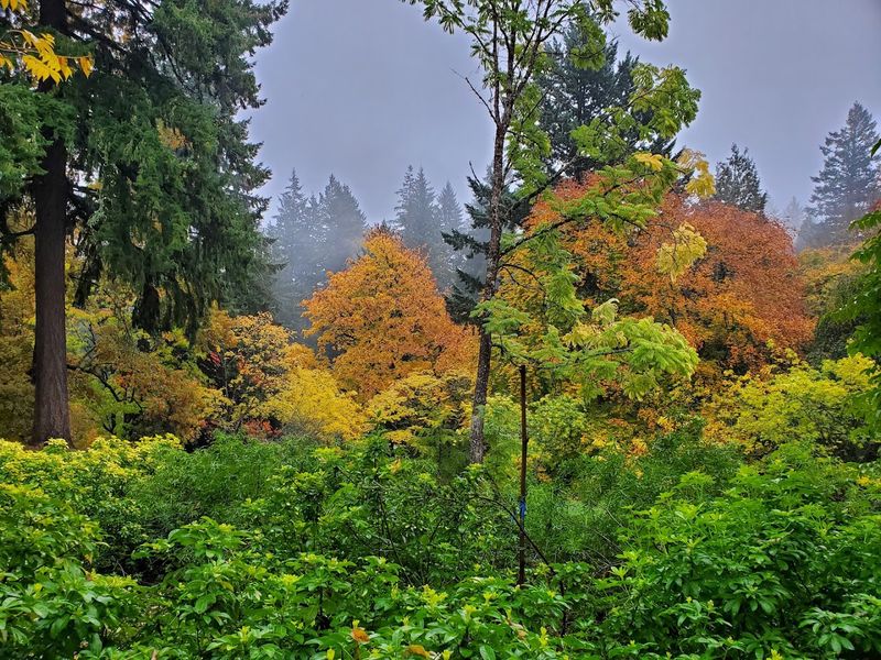The Best Time to Visit for Maximum Storybook Effect